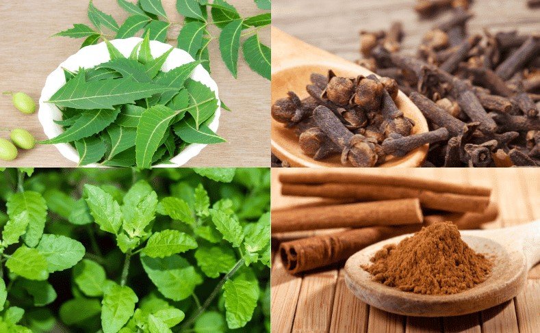 What Herbs Best for Your Mouth